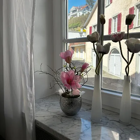 Neu ... In 2 Min. Am Bodensee