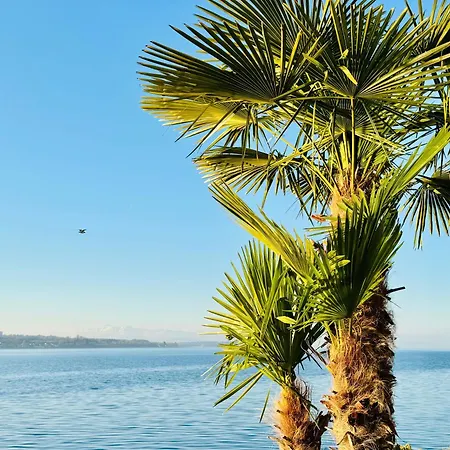 Neu ... In 2 Min. Am Bodensee 公寓