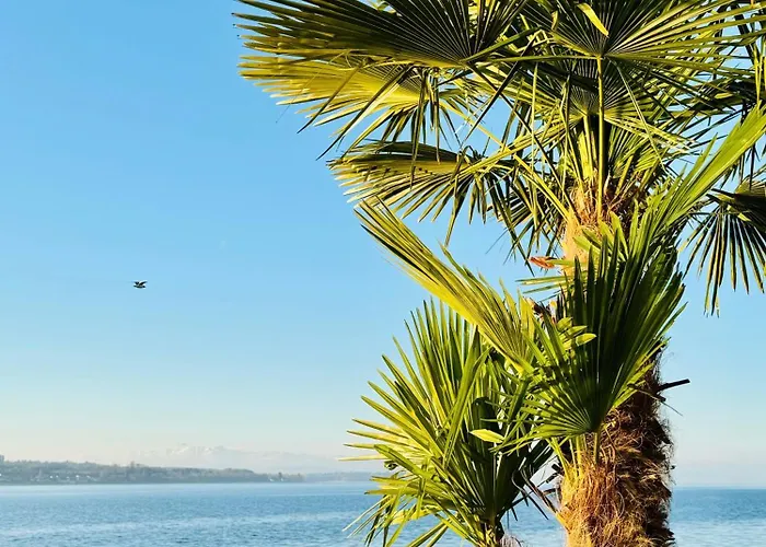 Neu ... In 2 Min. Am Bodensee Apartman